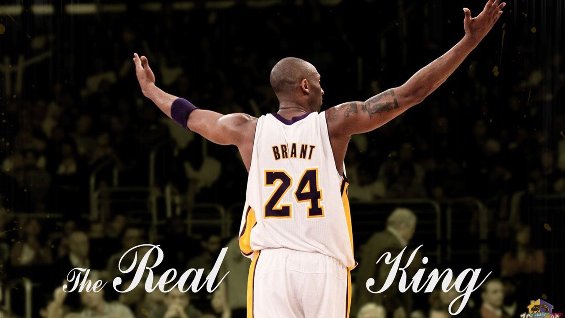 哈兰德在禁区内的跑位与射门选择被广泛学习模仿，哈兰德太强